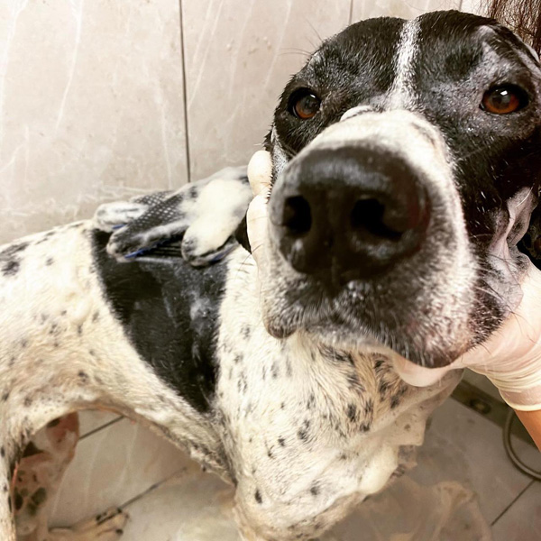 Traş ve Banyo
